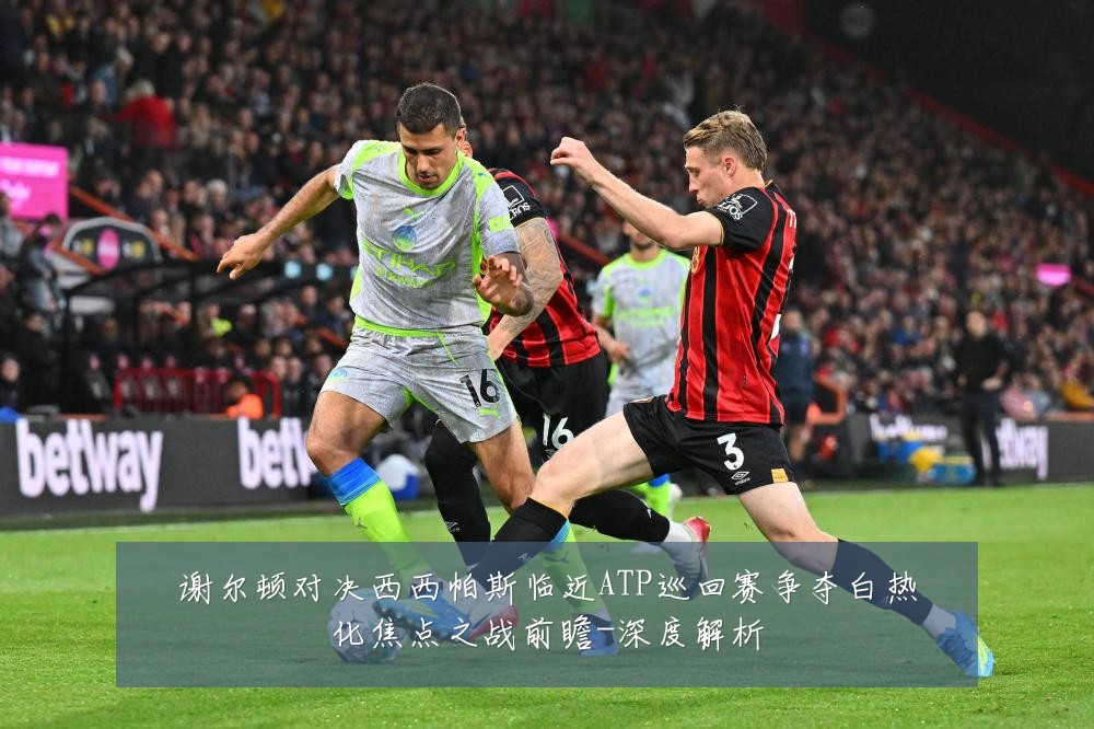 谢尔顿对决西西帕斯临近ATP巡回赛争夺白热化焦点之战前瞻-深度解析