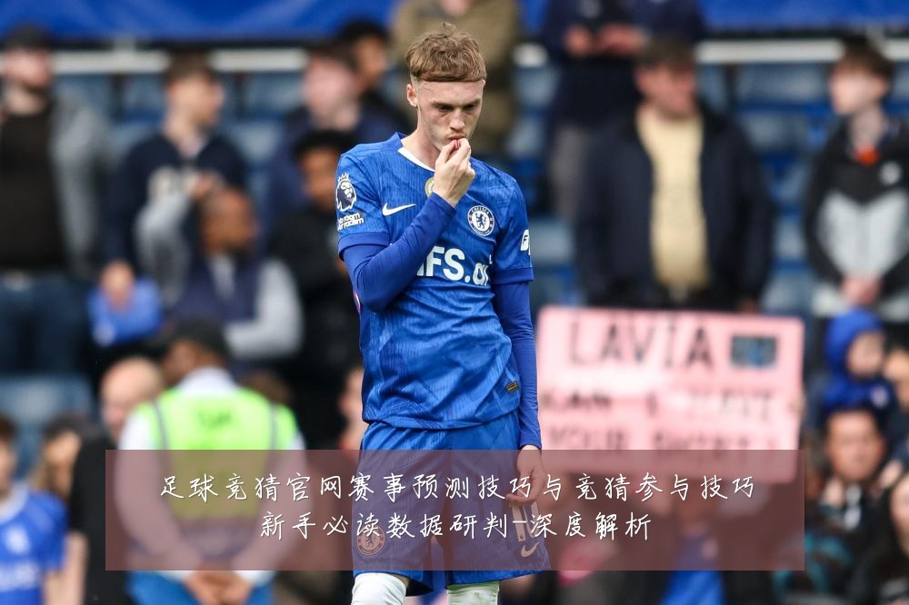 足球竞猜官网赛事预测技巧与竞猜参与技巧新手必读数据研判-深度解析